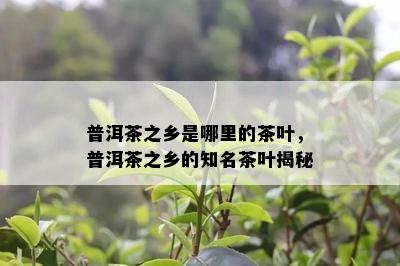 普洱茶之乡是哪里的茶叶，普洱茶之乡的知名茶叶揭秘