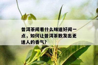 普洱茶闻着什么味道好闻一点，如何让普洱茶散发出更迷人的香气？