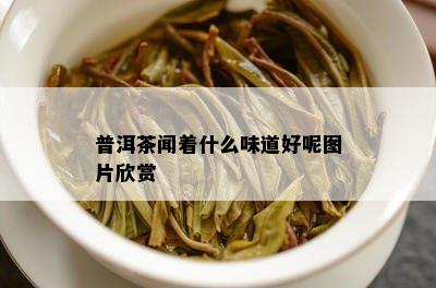 普洱茶闻着什么味道好呢图片欣赏