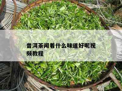 普洱茶闻着什么味道好呢视频教程