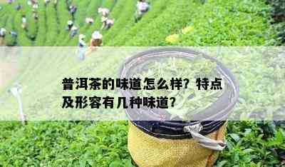 普洱茶的味道怎么样？特点及形容有几种味道？