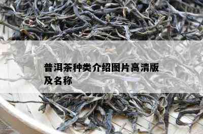 普洱茶种类介绍图片高清版及名称