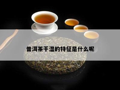 普洱茶干湿的特征是什么呢