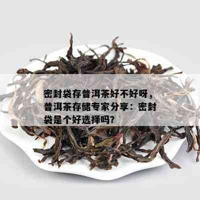 密封袋存普洱茶好不好呀，普洱茶存储专家分享：密封袋是个好选择吗？