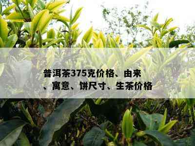 普洱茶375克价格、由来、寓意、饼尺寸、生茶价格