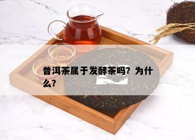 普洱茶属于发酵茶吗？为什么？