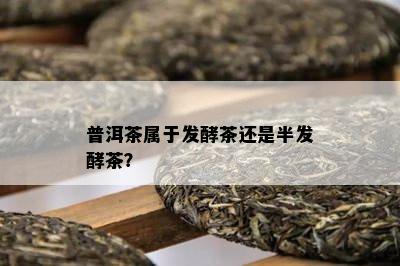 普洱茶属于发酵茶还是半发酵茶？