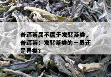 普洱茶属不属于发酵茶类，普洱茶：发酵茶类的一员还是异类？