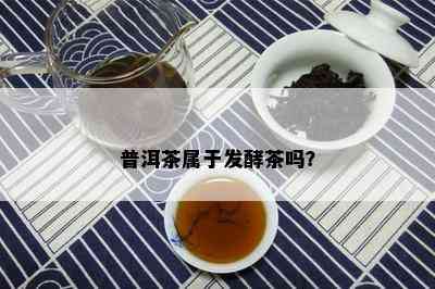 普洱茶属于发酵茶吗？