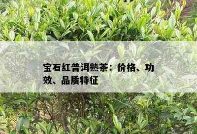 宝石红普洱熟茶：价格、功效、品质特征