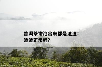 普洱茶饼泡出来都是渣渣：渣渣正常吗？