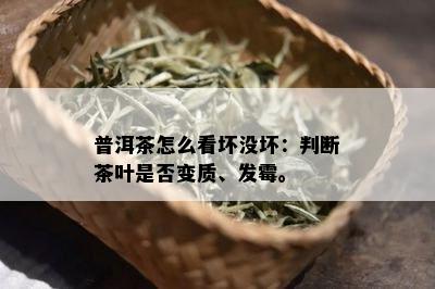 普洱茶怎么看坏没坏：判断茶叶是否变质、发霉。