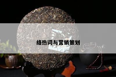 络热词与营销策划