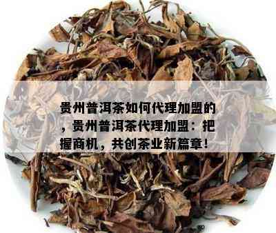 贵州普洱茶如何代理加盟的，贵州普洱茶代理加盟：把握商机，共创茶业新篇章！