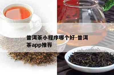 普洱茶小程序哪个好-普洱茶app推荐