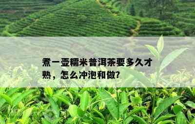 煮一壶糯米普洱茶要多久才熟，怎么冲泡和做？