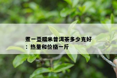 煮一壶糯米普洱茶多少克好：热量和价格一斤