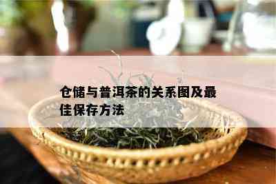 仓储与普洱茶的关系图及更佳保存方法