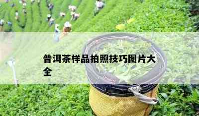 普洱茶样品拍照技巧图片大全