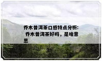 乔木普洱茶口感特点分析: 乔木普洱茶好吗，是啥意思