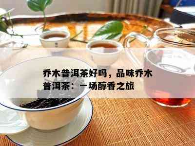 乔木普洱茶好吗，品味乔木普洱茶：一场醇香之旅