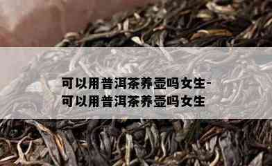 可以用普洱茶养壶吗女生-可以用普洱茶养壶吗女生