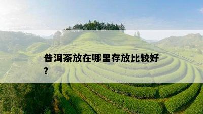 普洱茶放在哪里存放比较好？