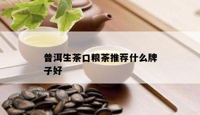 普洱生茶口粮茶推荐什么牌子好