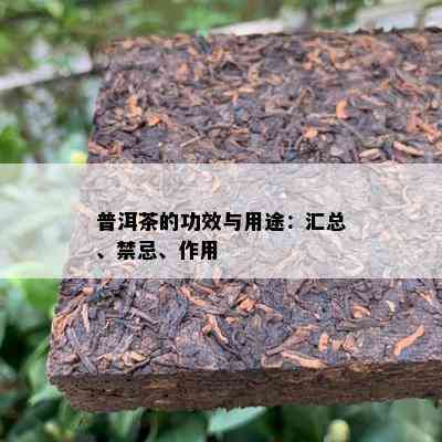 普洱茶的功效与用途：汇总、禁忌、作用