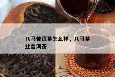 八马普洱茶怎么样，八马茶业普洱茶