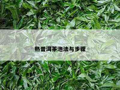 熟普洱茶泡法与步骤