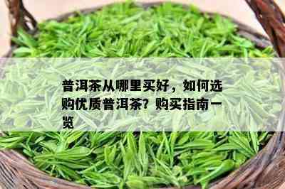 普洱茶从哪里买好，如何选购优质普洱茶？购买指南一览