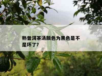 熟普洱茶汤颜色为黑色是不是坏了？