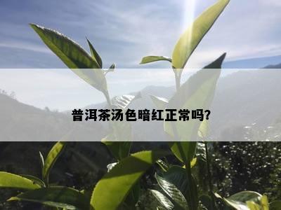 普洱茶汤色暗红正常吗？