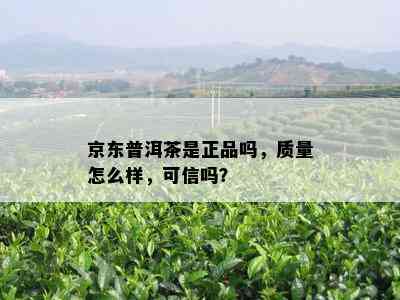 京东普洱茶是正品吗，质量怎么样，可信吗？