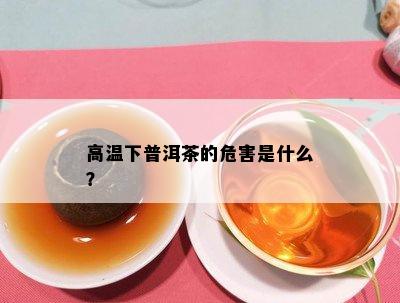 高温下普洱茶的危害是什么？