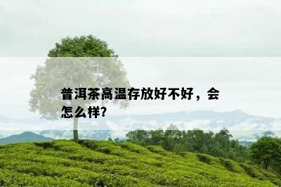 普洱茶高温存放好不好，会怎么样？