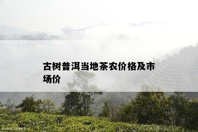 古树普洱当地茶农价格及市场价