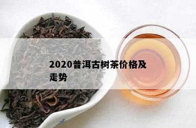 2020普洱古树茶价格及走势