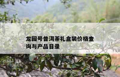 龙园号普洱茶礼盒装价格查询与产品目录