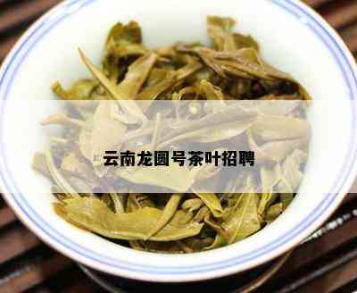 云南龙圆号茶叶招聘