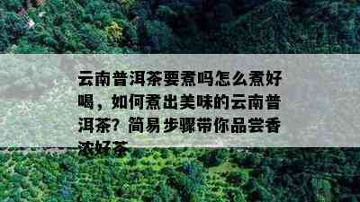 云南普洱茶要煮吗怎么煮好喝，如何煮出美味的云南普洱茶？简易步骤带你品尝香浓好茶