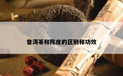 普洱茶和陈皮的区别和功效