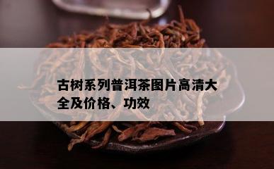 古树系列普洱茶图片高清大全及价格、功效