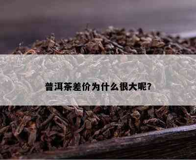 普洱茶差价为什么很大呢？