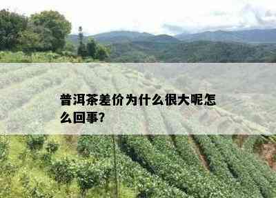 普洱茶差价为什么很大呢怎么回事？