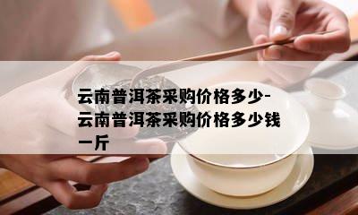 云南普洱茶采购价格多少-云南普洱茶采购价格多少钱一斤