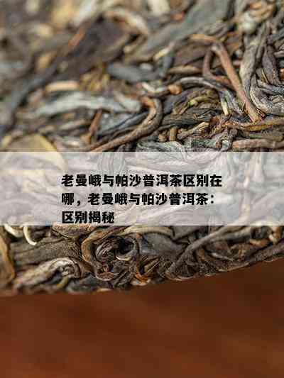 老曼峨与帕沙普洱茶区别在哪，老曼峨与帕沙普洱茶：区别揭秘