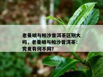 老曼峨与帕沙普洱茶区别大吗，老曼峨与帕沙普洱茶：究竟有何不同？