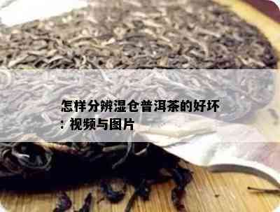 怎样分辨湿仓普洱茶的好坏: 视频与图片